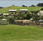 Ace Hi Riding Ranch - Accommodation Search