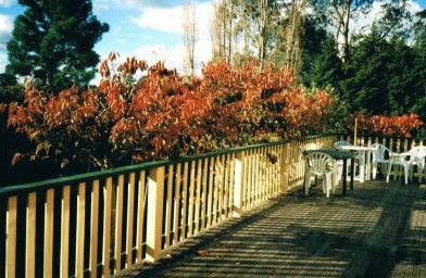 Heronswood House - Accommodation Search 5