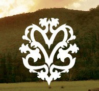  Accommodation Search