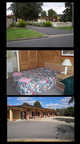 Accommodation Search
