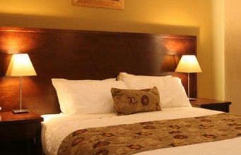 Whale Motor Inn - Accommodation Search 1