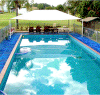 Jacaranda Motor Lodge - Accommodation Search