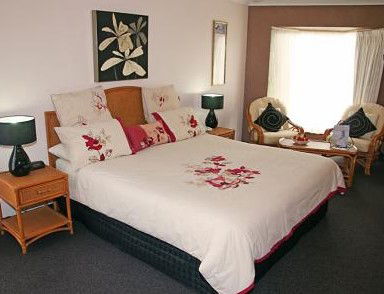 Sapphire Waters Motor Inn - Accommodation Search 1