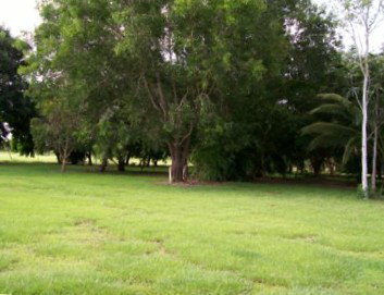 Daly River Mango Farm - Accommodation Search 1