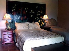 Daintree Manor - Accommodation Search 0