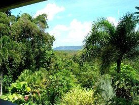 Daintree Manor - Accommodation Search 3