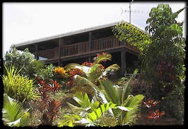 Daintree Manor - Accommodation Search 5