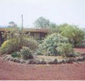 Beaufort Motel - Accommodation Search