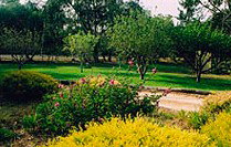 Naracoorte Cottages - Pinkerton Hill - Accommodation Search 2