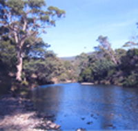 Douglas River Cabin - Accommodation Search