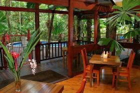 Daintree Wilderness Lodge - Accommodation Search 0