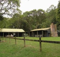 Tree Fern Lodge - Accommodation Search