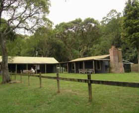 Tree Fern Lodge - Accommodation Search 0