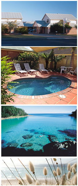 Dolphin Shores Motor Inn - Accommodation Search 1