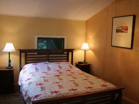 Tree Fern Lodge - Accommodation Search 3