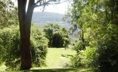Red Dog Retreat - Accommodation Search 1