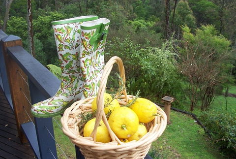 Bellbird Cottage Bed And Breakfast - Accommodation Search 4