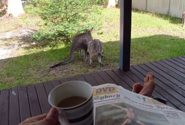 Erowal Bay NSW Accommodation Search