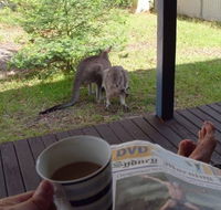 Bush and Bay Cottage - Accommodation Search