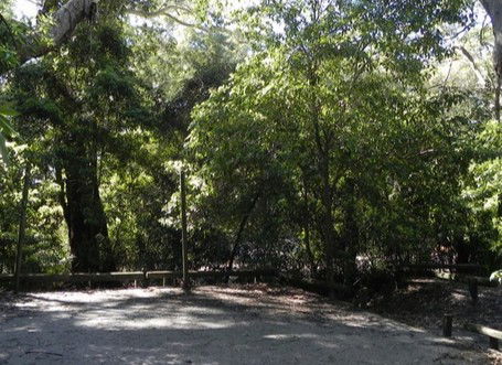 Booderee National Park: Green Patch Camping Area - Accommodation Search 0