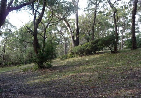 Booderee National Park: Green Patch Camping Area - Accommodation Search 3
