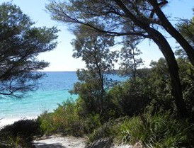 Booderee National Park: Bristol Point Camping Area - Accommodation Search 2