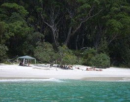 Booderee National Park: Bristol Point Camping Area - Accommodation Search 3