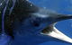Black Bream Point Holiday Cabins - thumb 1