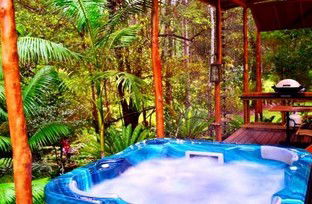A Waterfall Hideout-Rainforest Cabin For Couples - Accommodation Search 5
