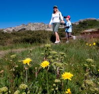 Horizons Apartment 407 - Accommodation Search