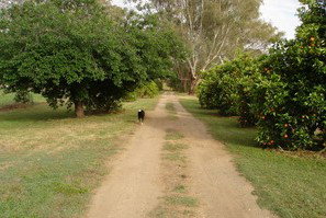 Murray Bank Holiday Units And Yabby Farm - Accommodation Search 5