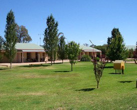 Narrandera Caravan Park - Accommodation Search 0