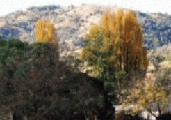 Nundle NSW Accommodation Search