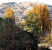 Birches Bed and Breakfast at Nundle - Accommodation Search