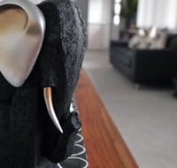 Alexandra Apartments - Accommodation Search
