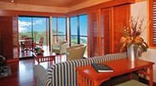 OReillys Rainforest Retreat - Accommodation Search 0
