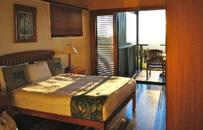 OReillys Rainforest Retreat - Accommodation Search 2