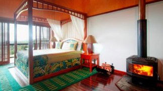 OReillys Rainforest Retreat - Accommodation Search 6