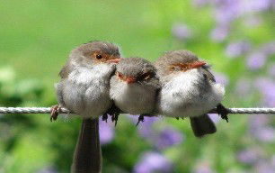 Eagles Rest Retreat - Accommodation Search 3