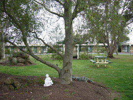 The Gold Sovereign Motor Inn - Accommodation Search 0