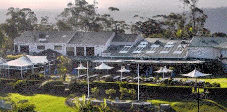 Eagle Heights Mountain Resort - Accommodation Search 4