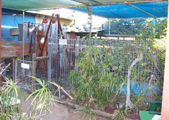 Safari Lodge Motel - Accommodation Search 1