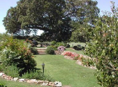 Maddies Of Bolwarra - Accommodation Search 1