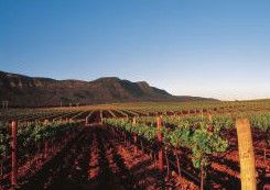 Peppers Guest House Hunter Valley - Accommodation Search 2
