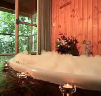 Tree Houses Of Montville - Accommodation Search
