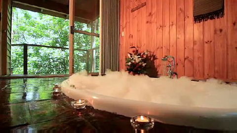 Tree Houses Of Montville - Accommodation Search 0