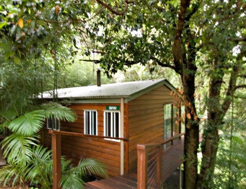 Tree Houses Of Montville - Accommodation Search 2