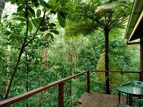Tree Houses Of Montville - Accommodation Search 3