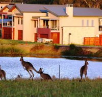 Grand Mercure The Vintage Hunter Valley - Accommodation Search