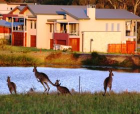 Grand Mercure The Vintage Hunter Valley - Accommodation Search 0